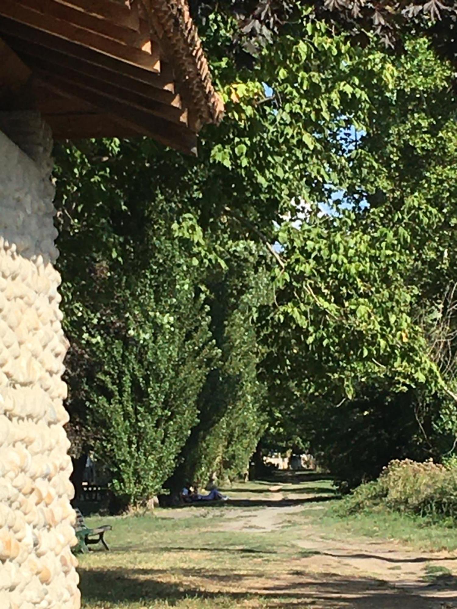 La Villa De Lise Romans-sur-Isere Exterior photo